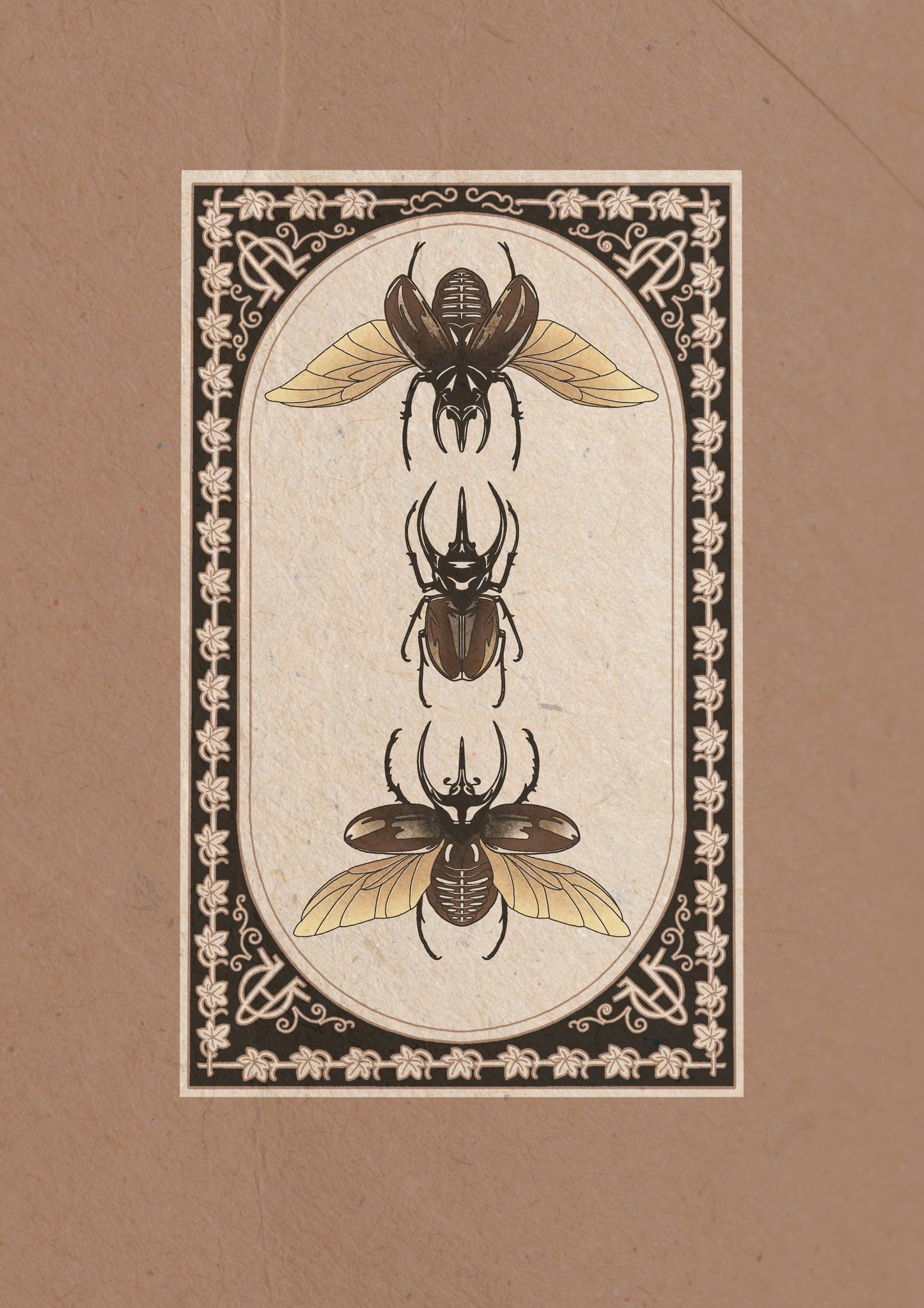 Entomology Collection I