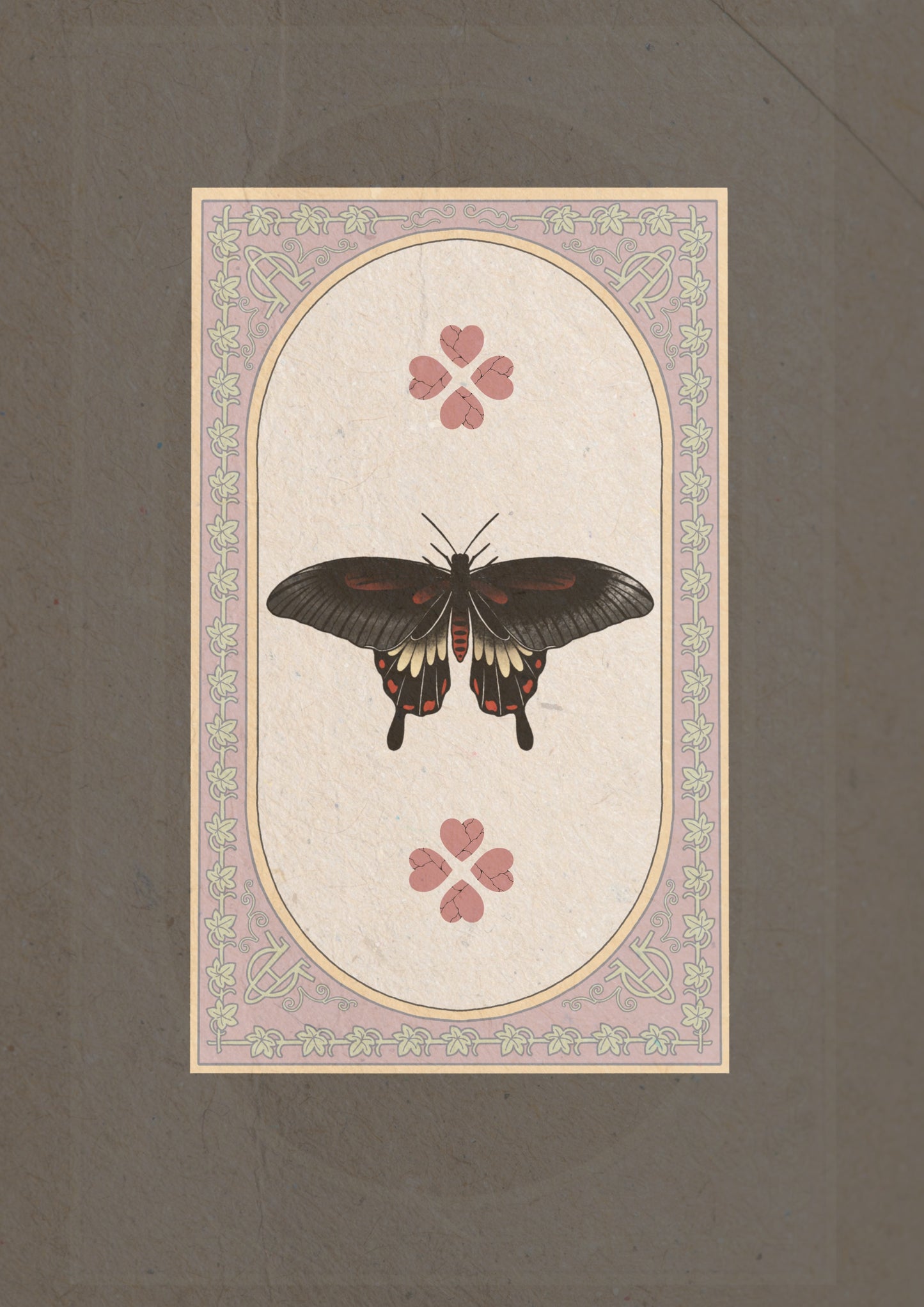 Common Rose Swallowtail