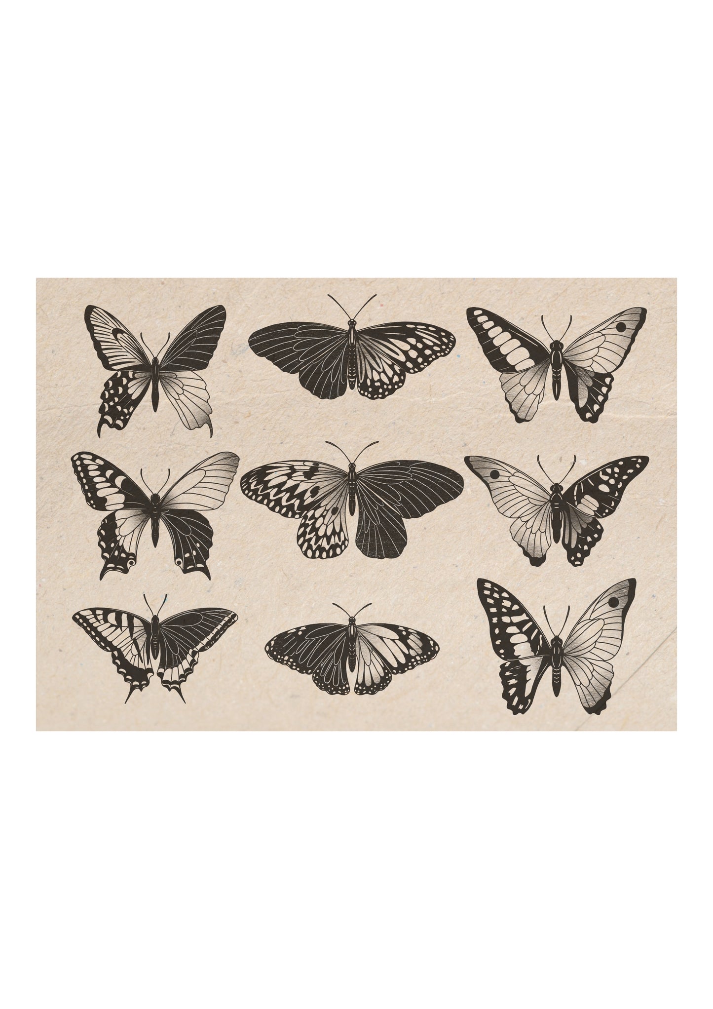 Entomology Collection III (A3)