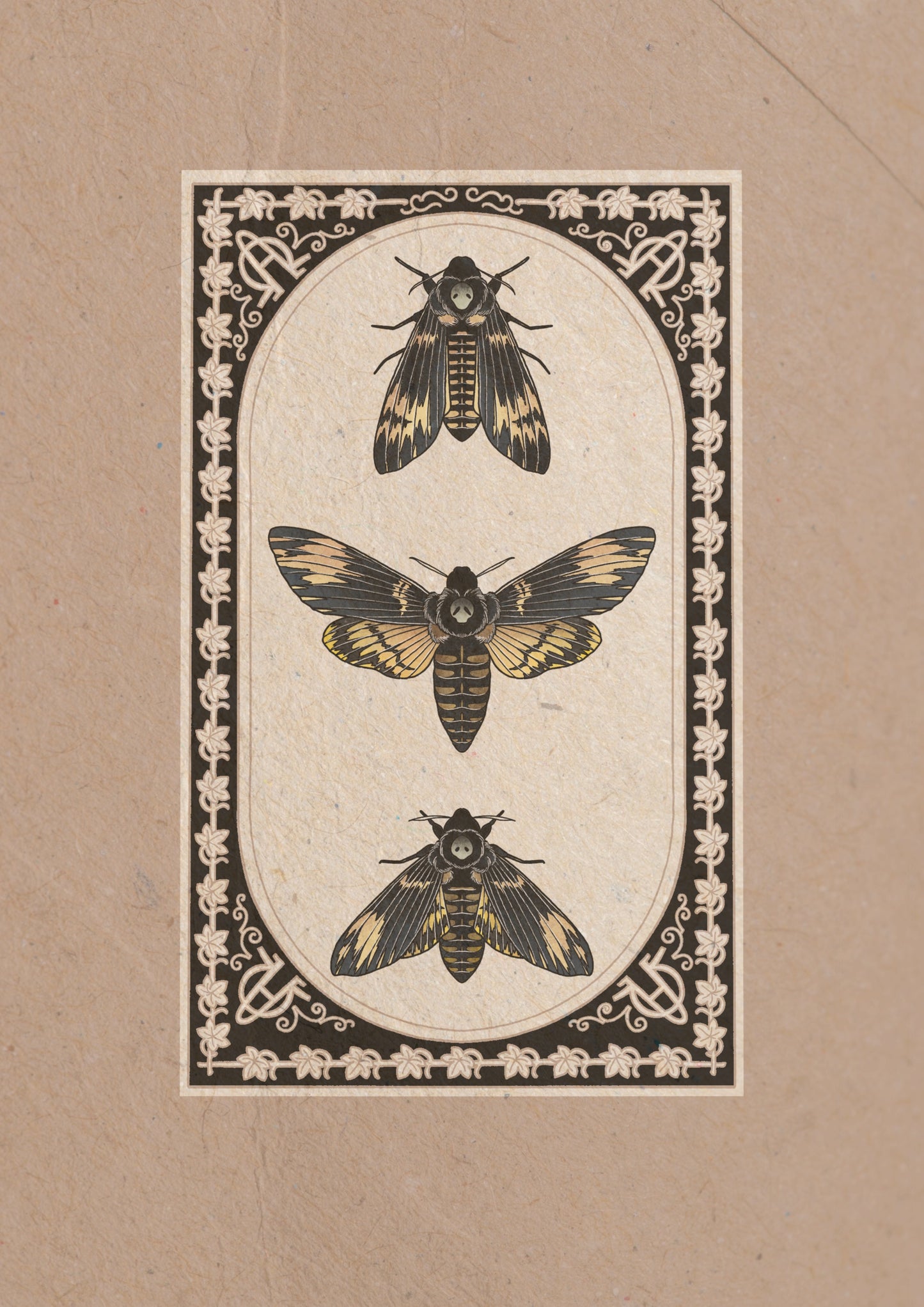Entomology Collection I