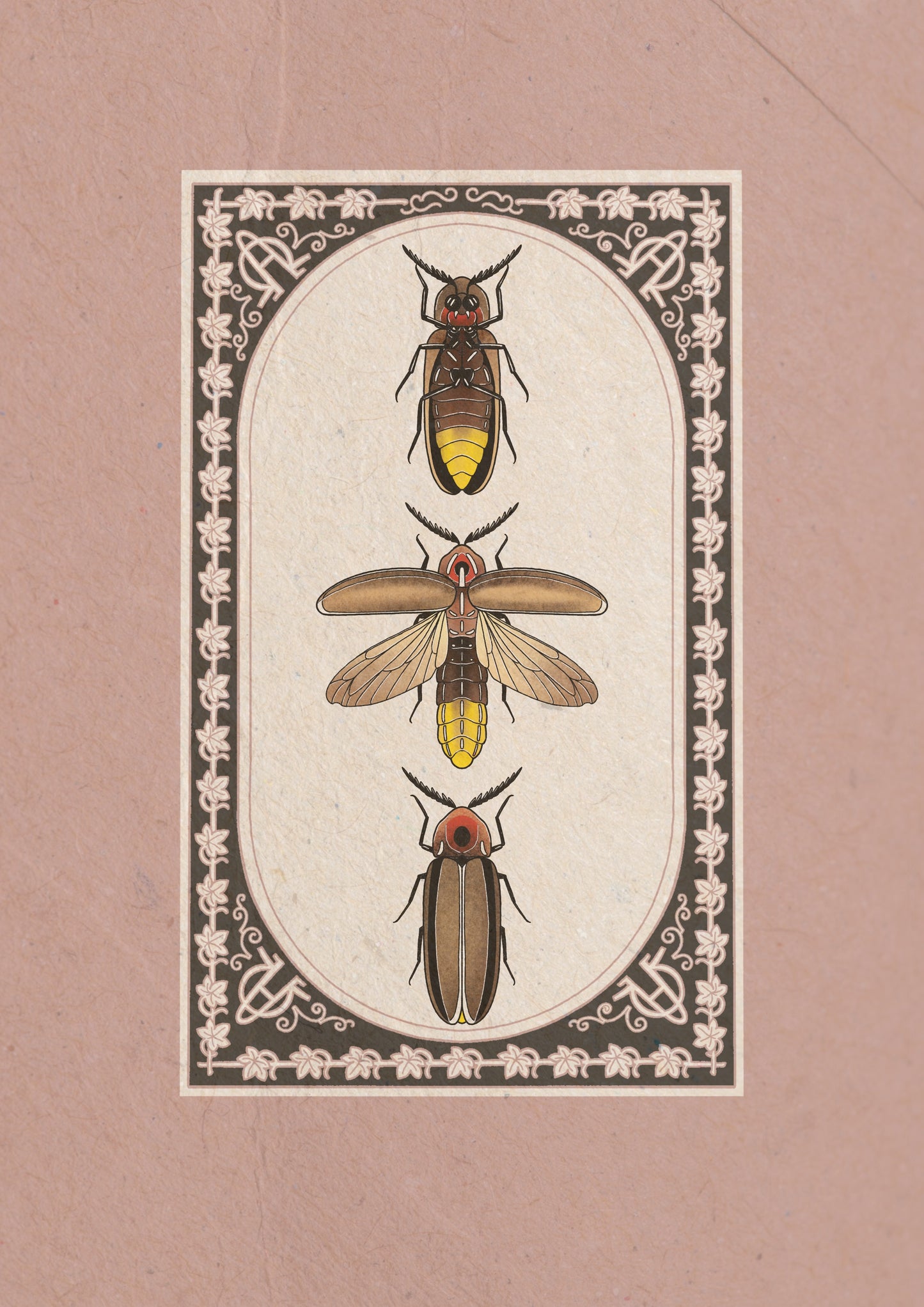 Entomology Collection I