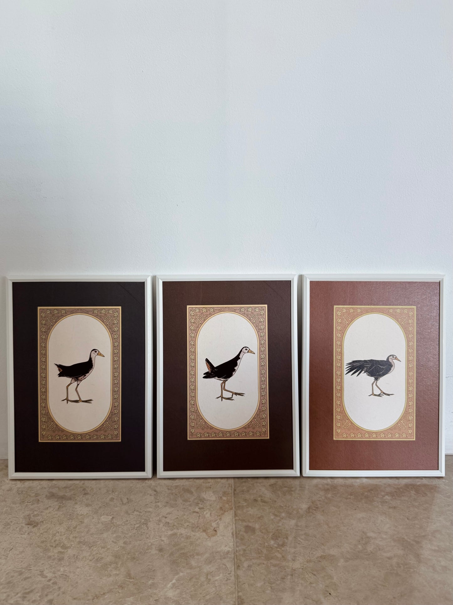 Waterhen Collection I