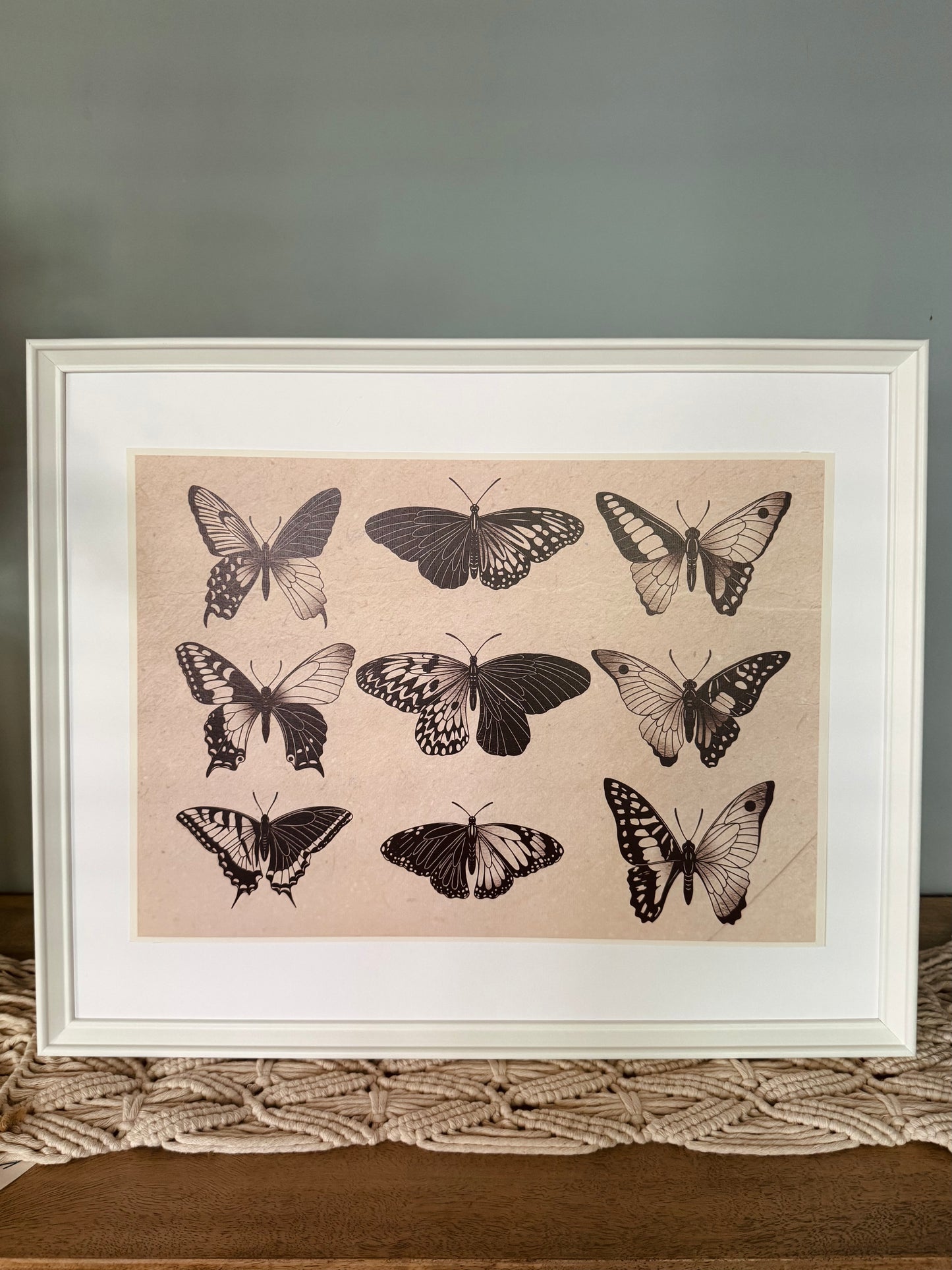 Entomology Collection III (A3)