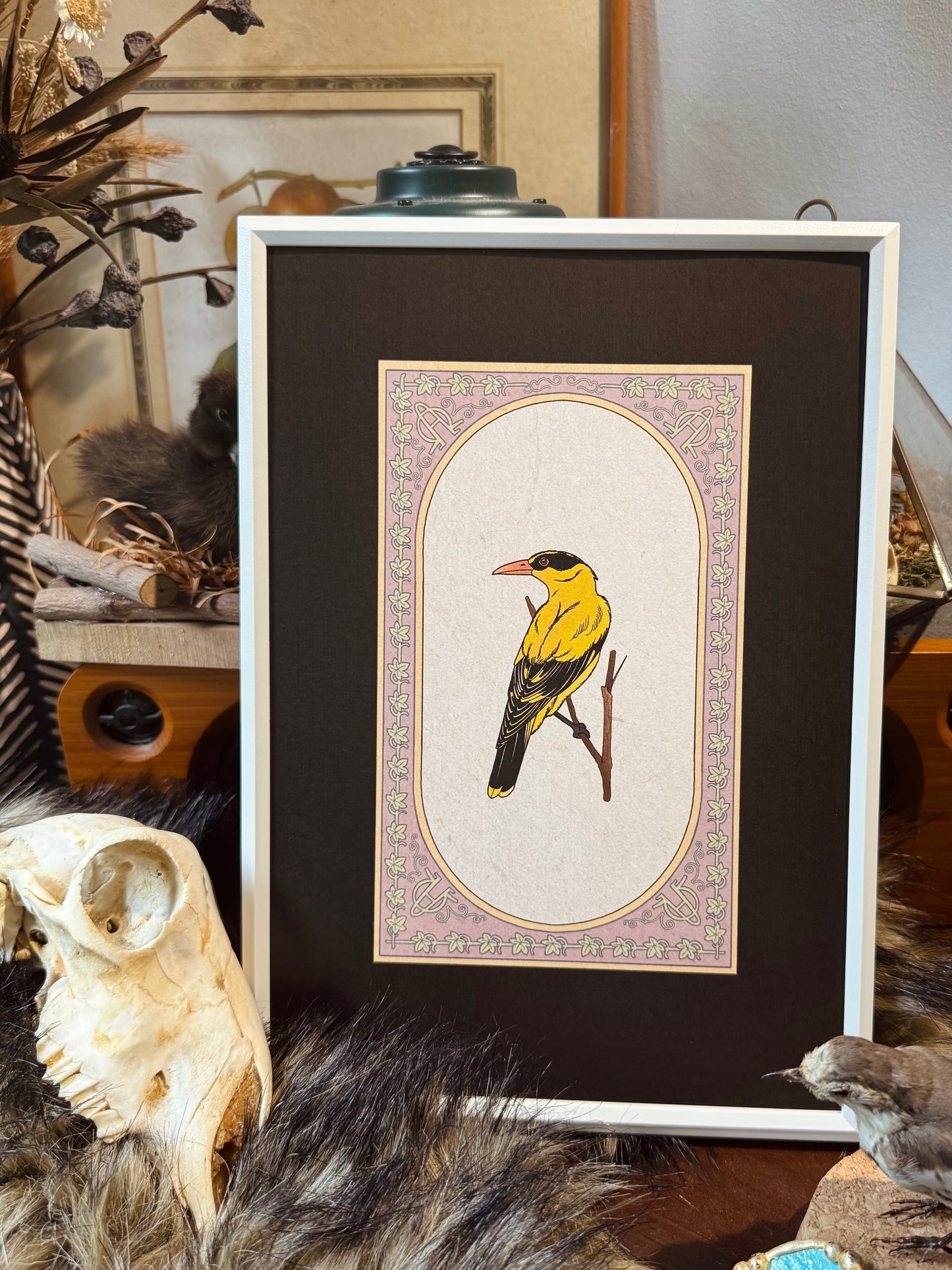 Orioles I