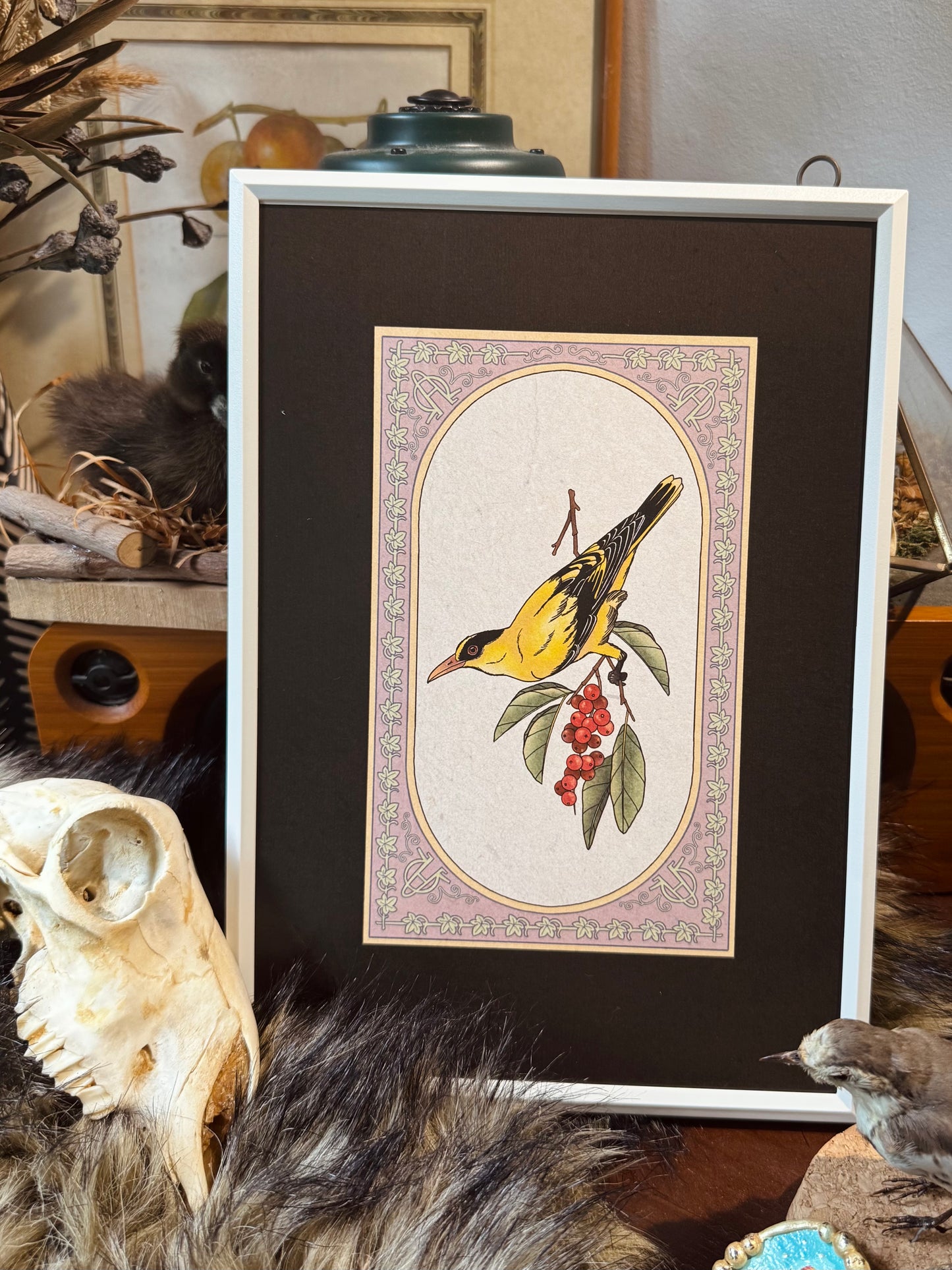 Orioles I