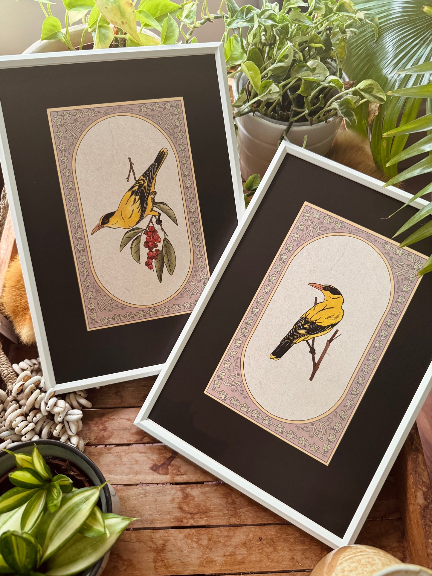 Orioles I