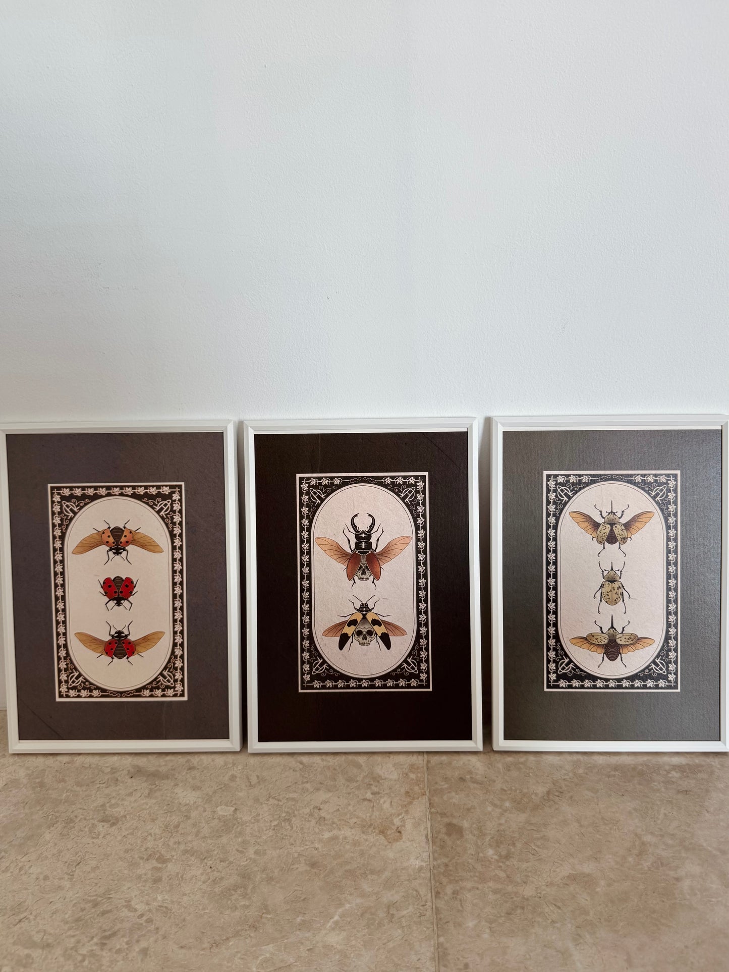 Entomology Collection I