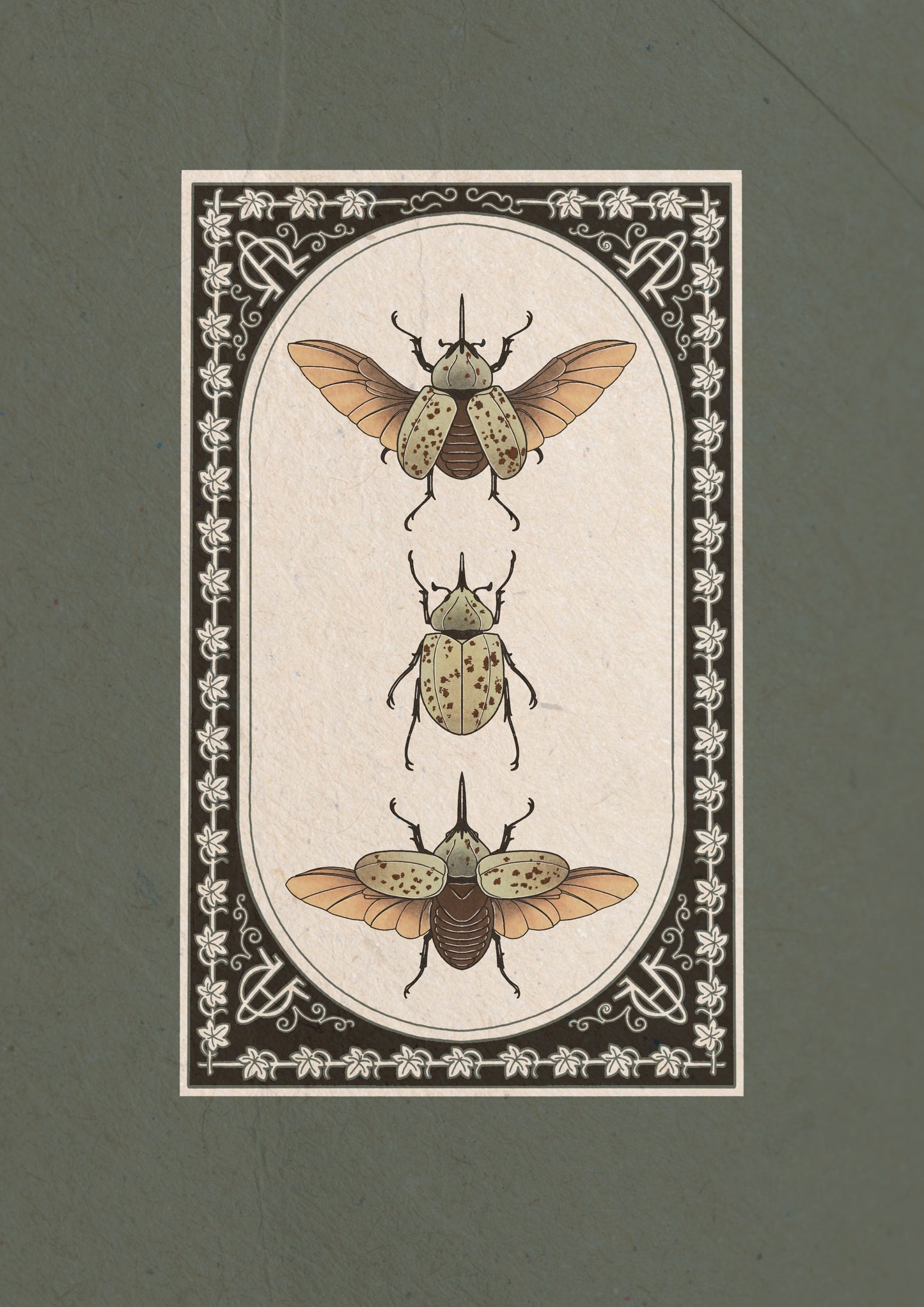 Entomology Collection I
