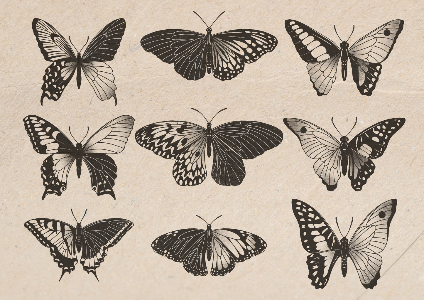 Entomology Collection III (A3)