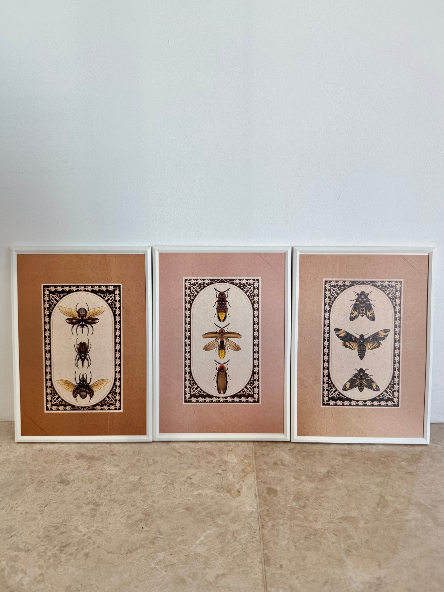 Entomology Collection I