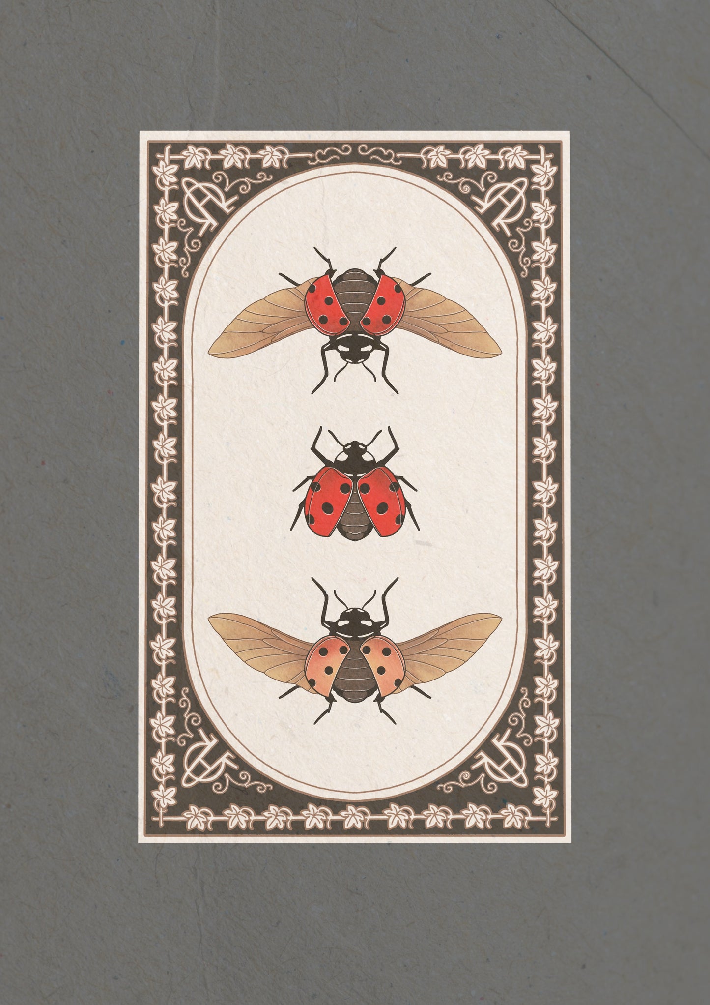 Entomology Collection I