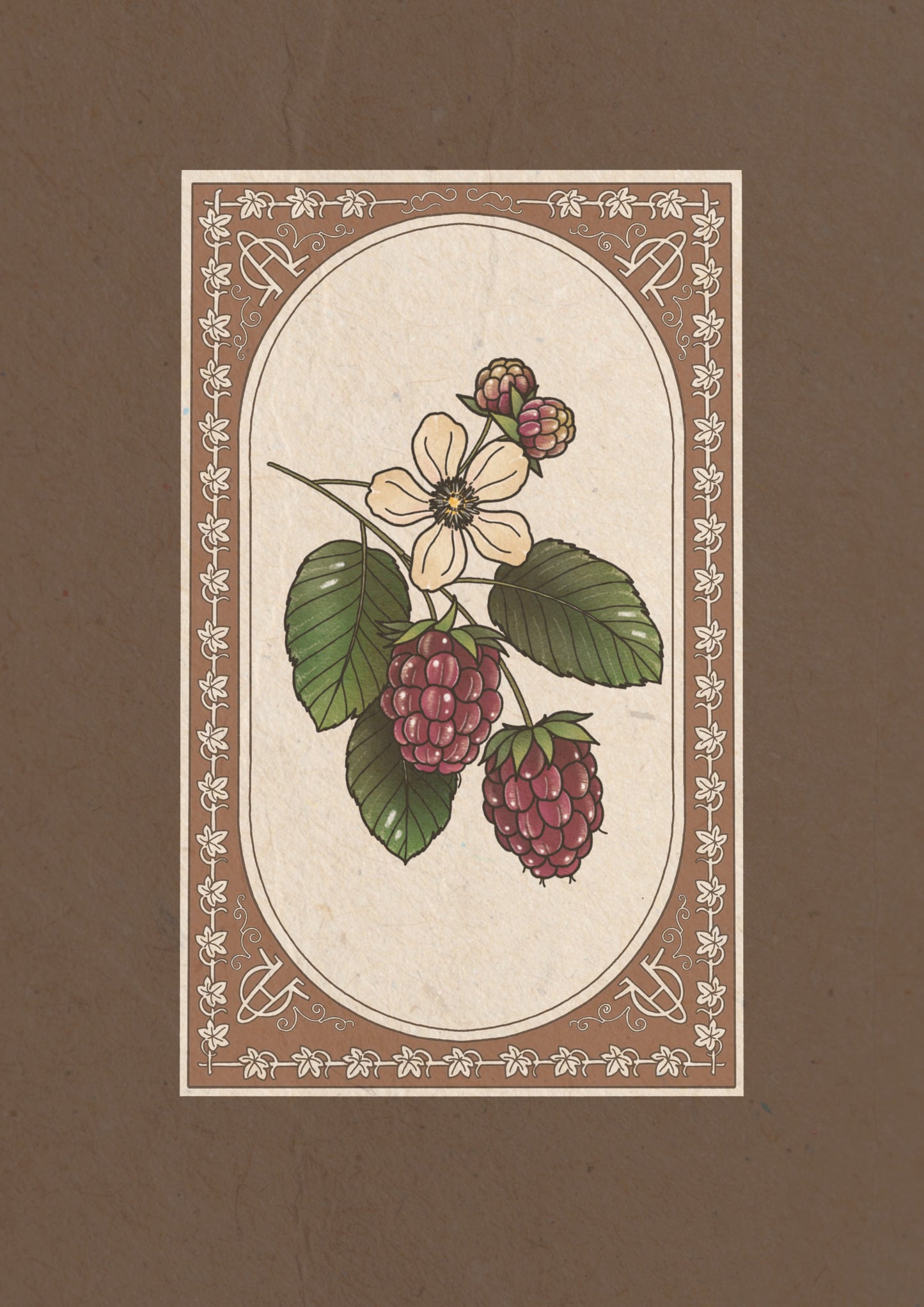 Raspberries I