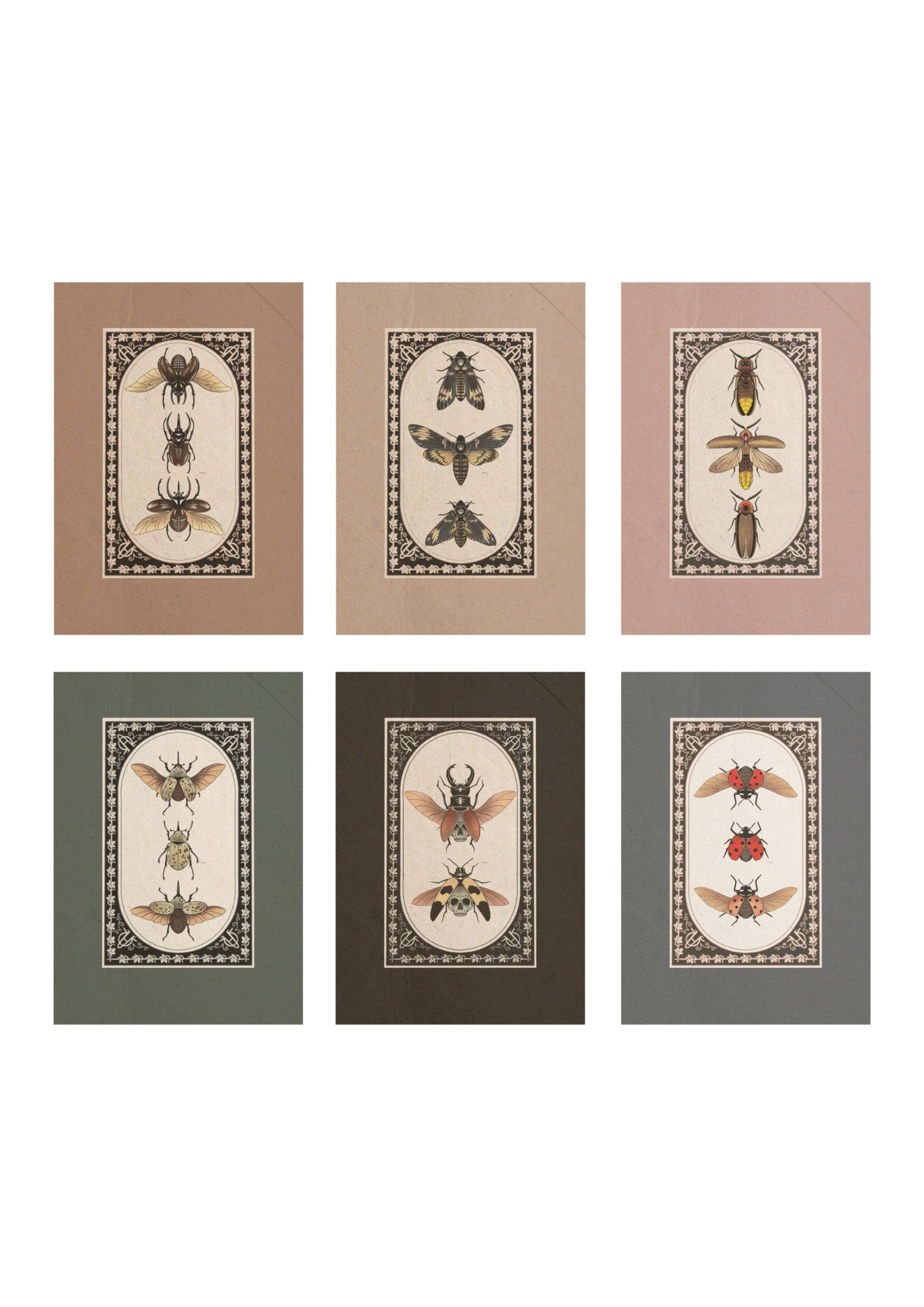 Entomology Collection I