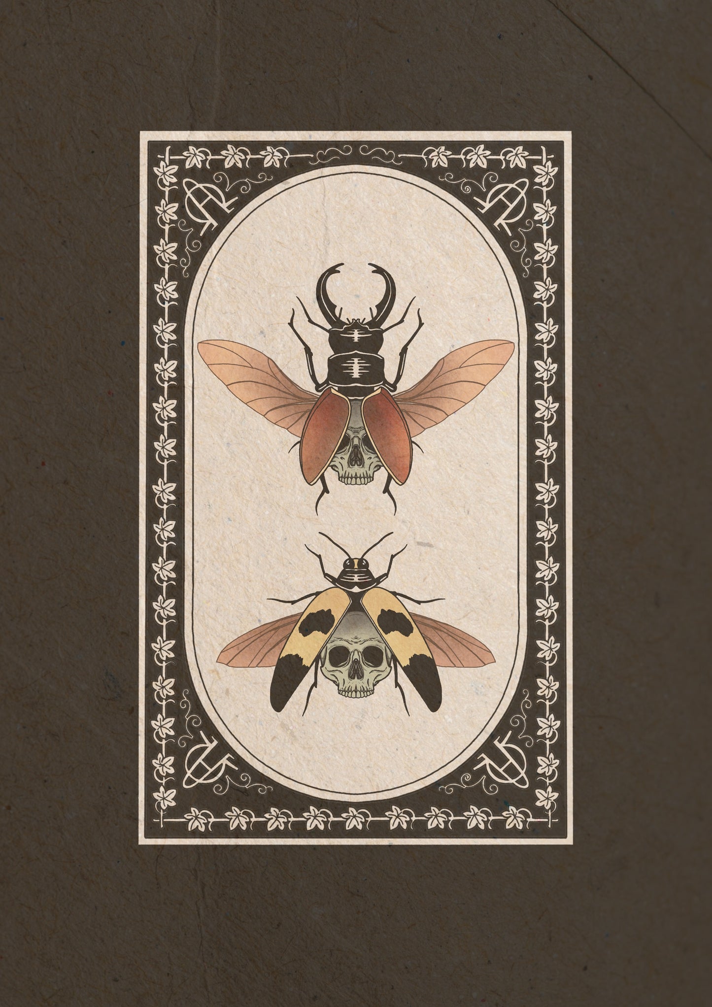 Entomology Collection I