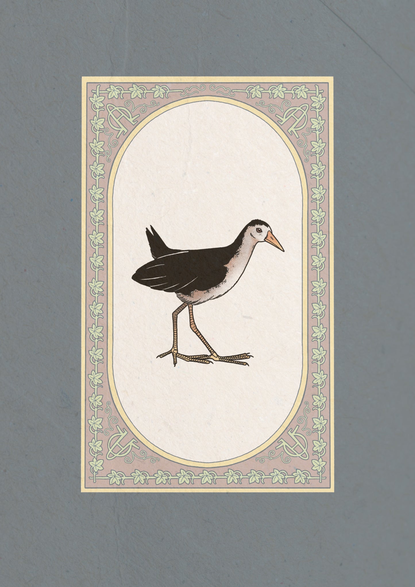 Waterhen Collection I