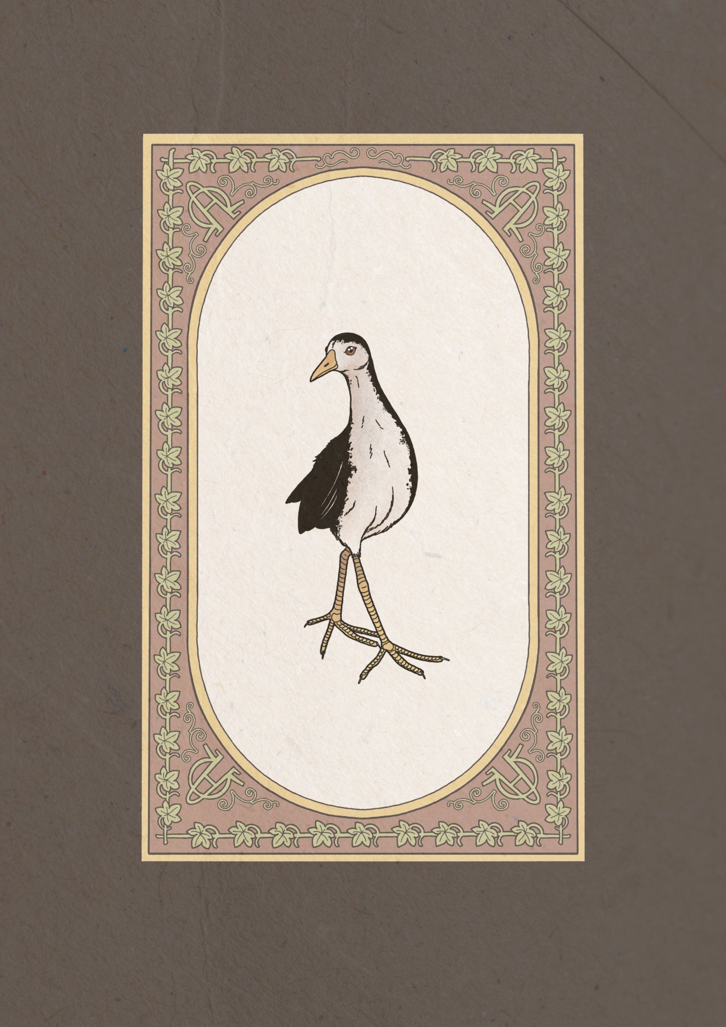 Waterhen Collection I