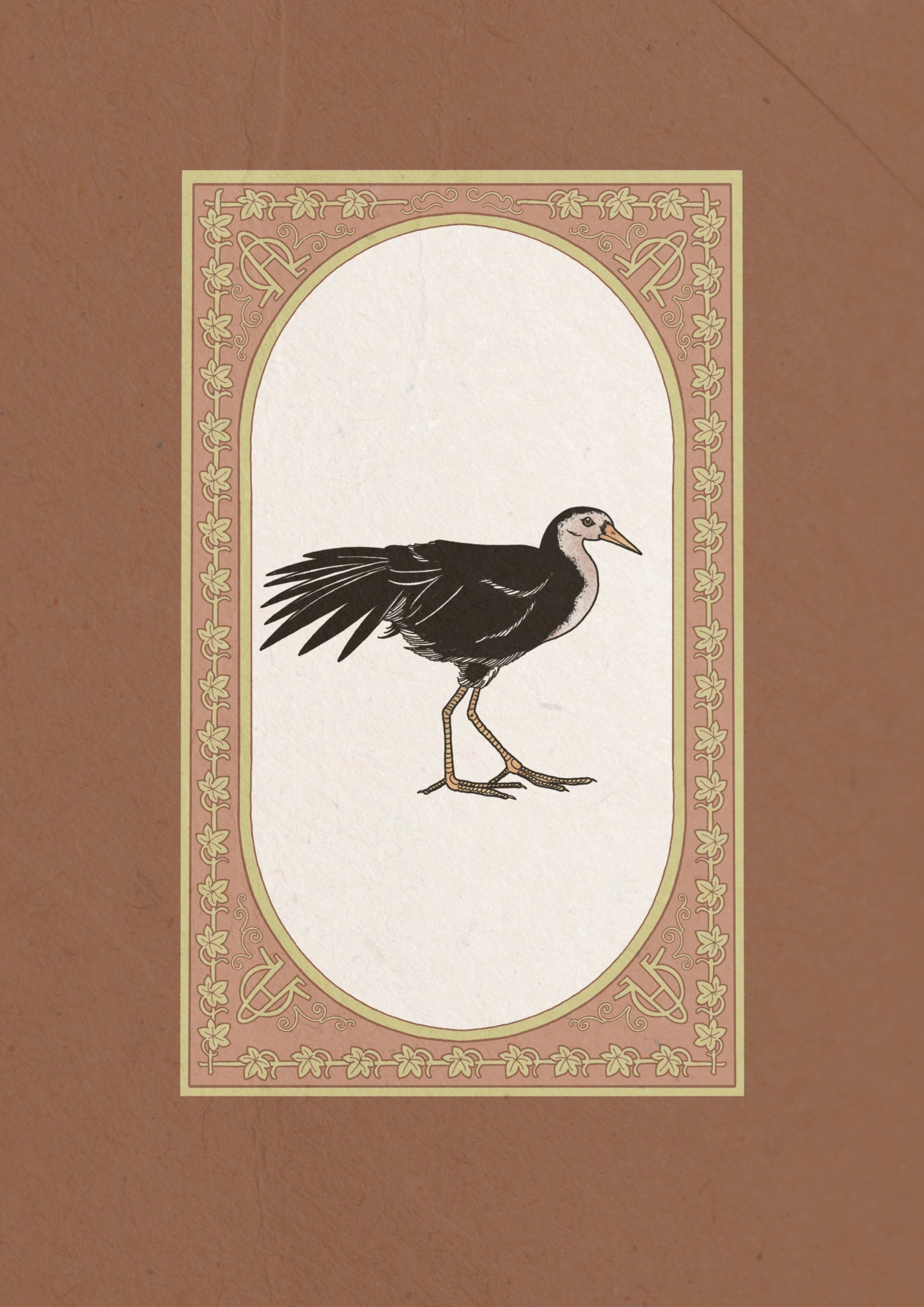 Waterhen Collection I