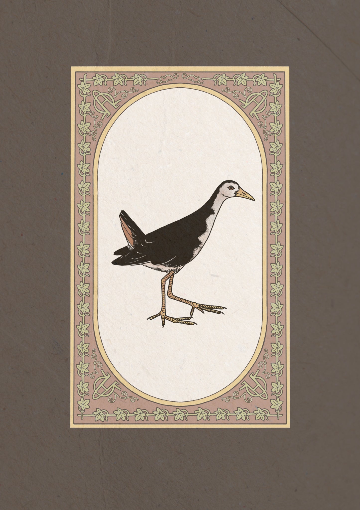 Waterhen Collection I
