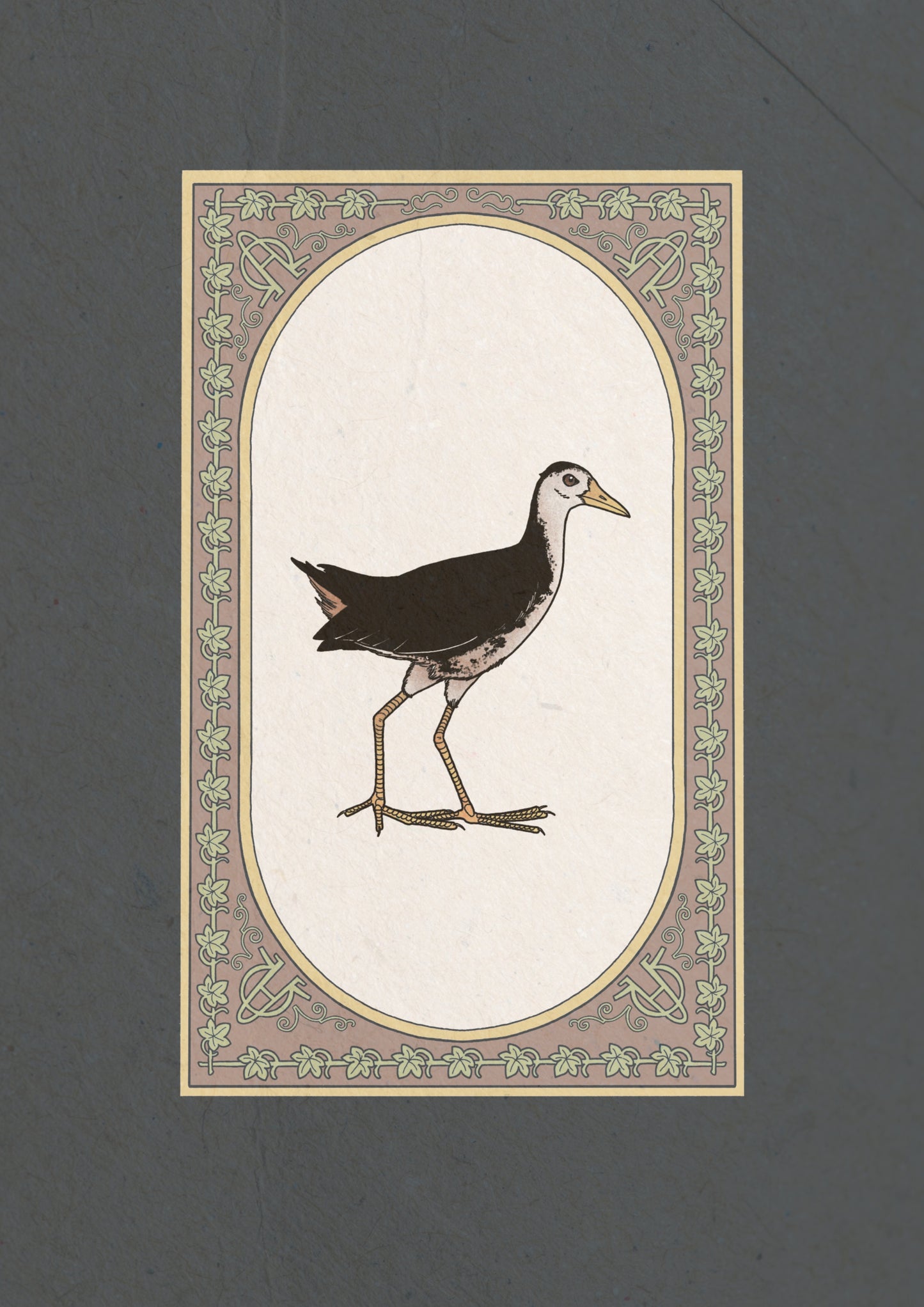 Waterhen Collection I