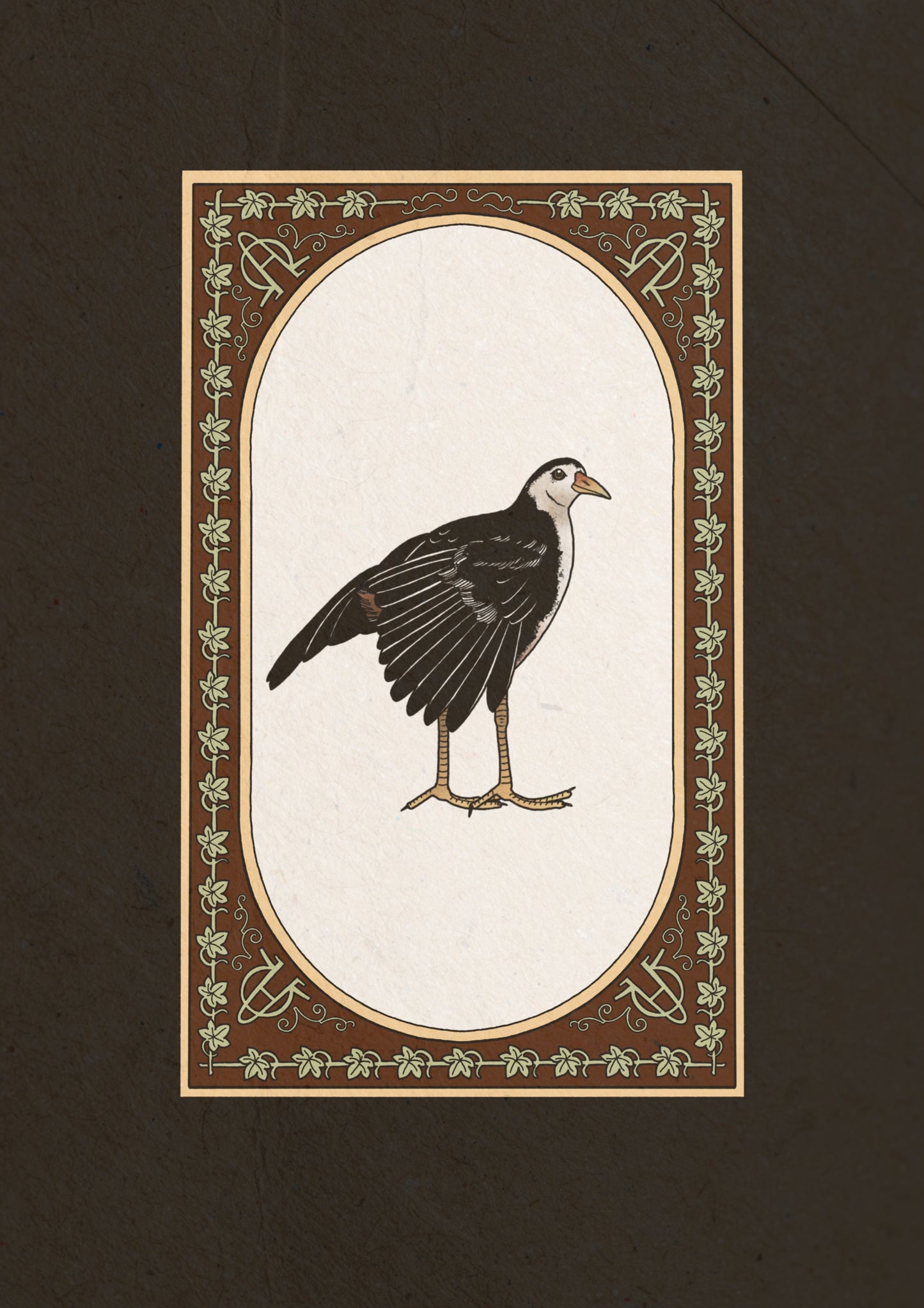 Waterhen Collection I