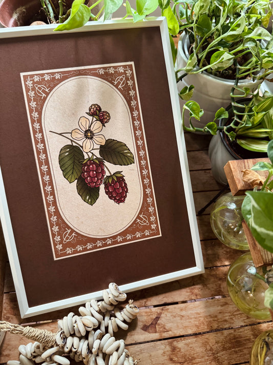 Raspberries I