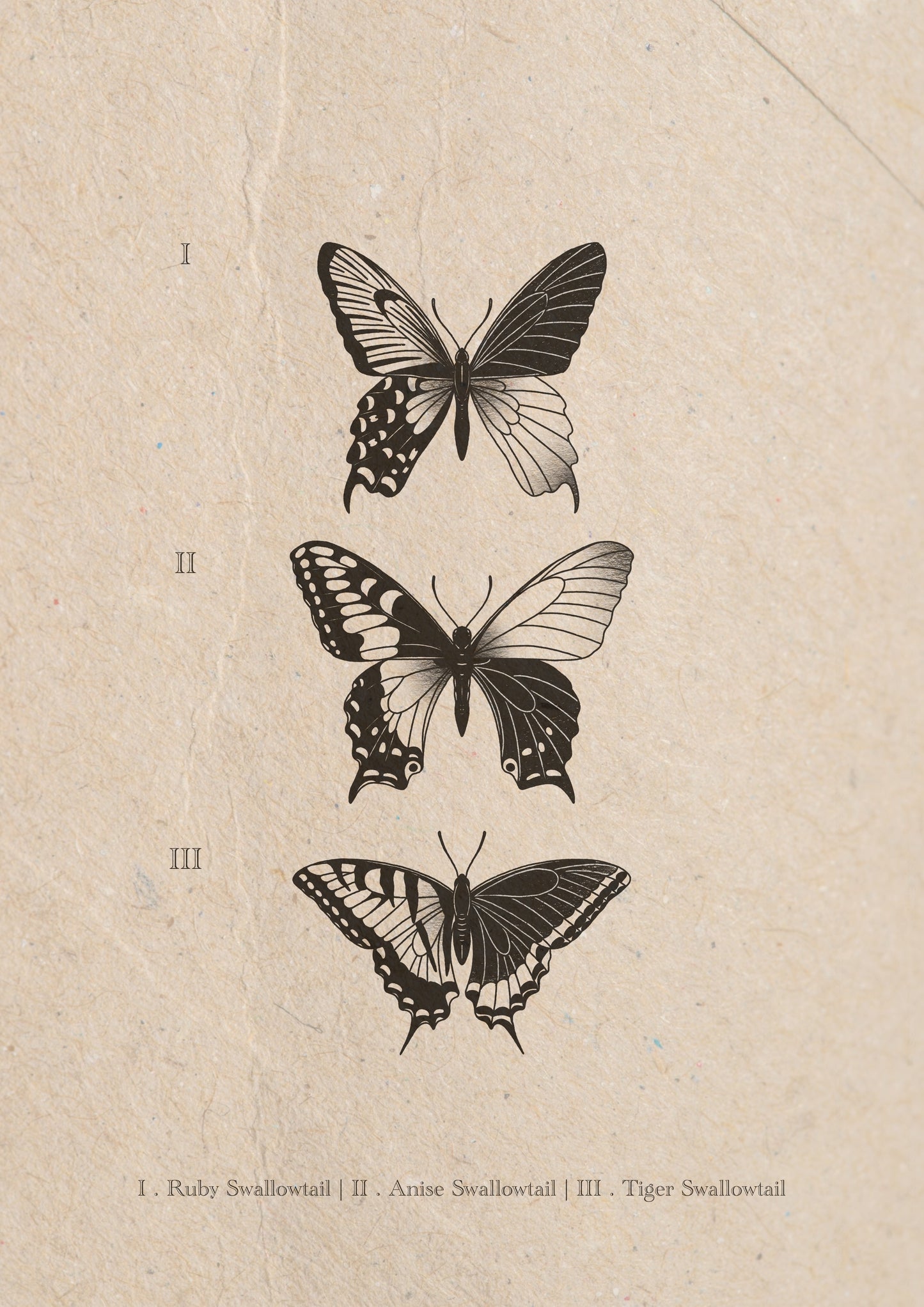 Entomology Collection III